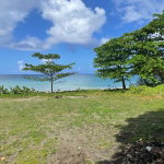 First image of Lot-6 Burlington Estate in Burlington, Portland, Jamaica - property is For Sale