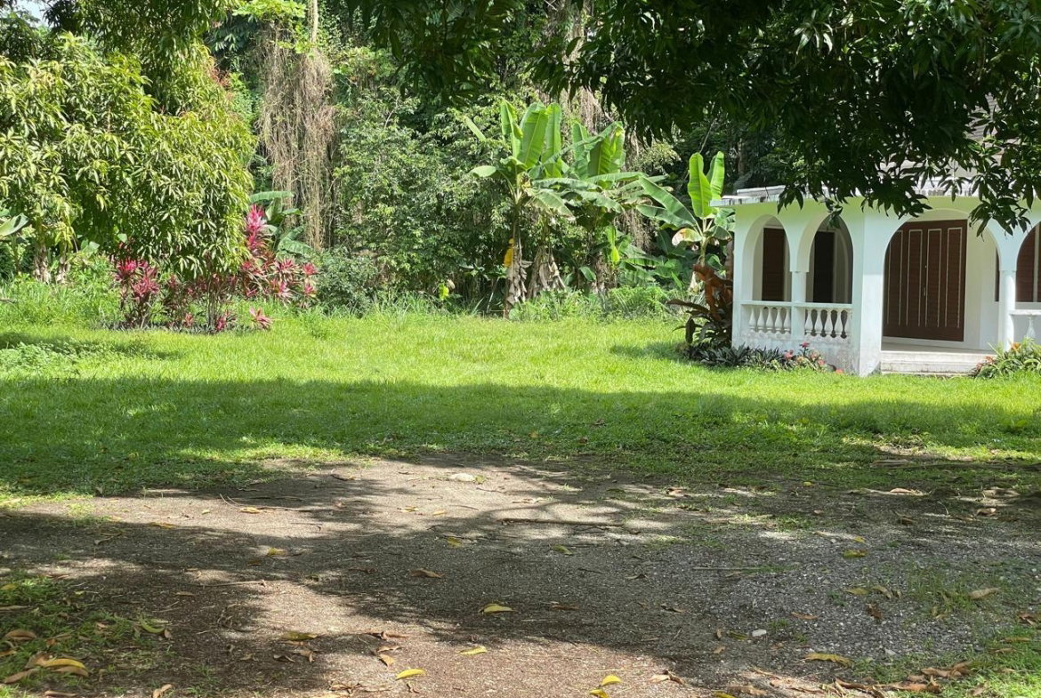 Fourth image of Lot-6 Burlington Estate in Burlington, Portland, Jamaica - property is For Sale