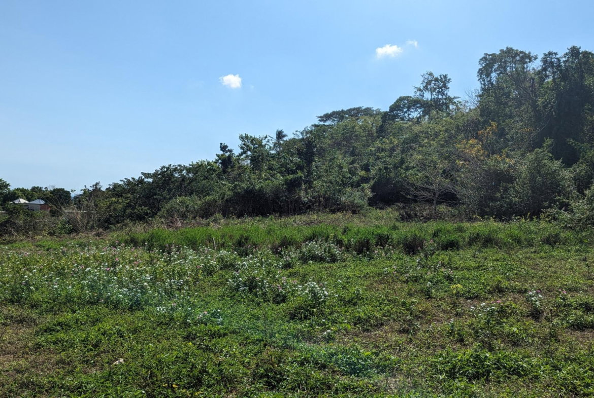Second image of 36 Whitehall in MIDDLE QUARTERS, St. Elizabeth, Jamaica - property is For Sale