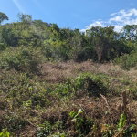 First image of 36 Whitehall in MIDDLE QUARTERS, St. Elizabeth, Jamaica - property is For Sale