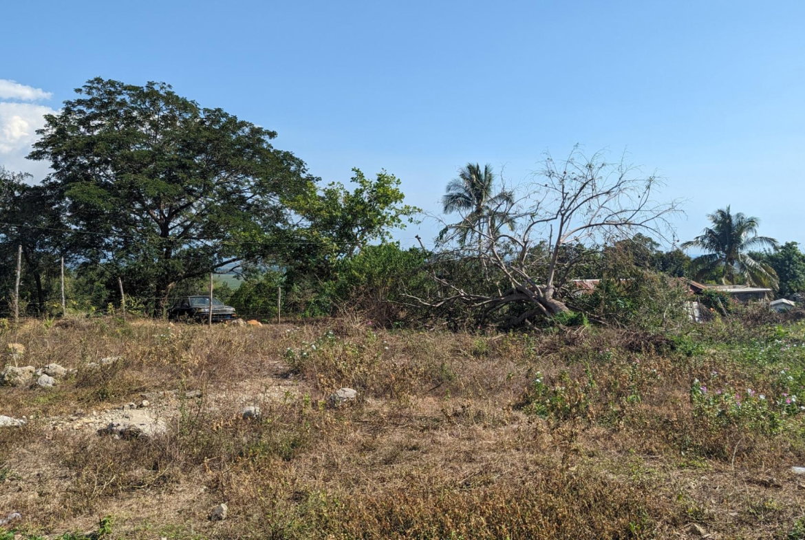 Third image of 36 Whitehall in MIDDLE QUARTERS, St. Elizabeth, Jamaica - property is For Sale