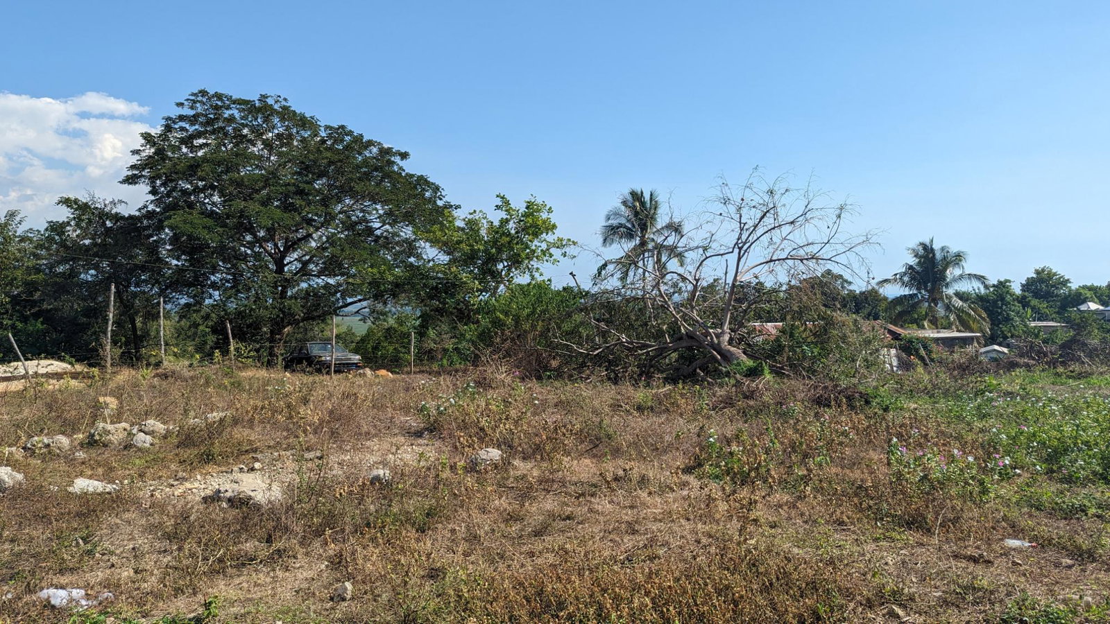 Residential-Lot-for-Sale-in-St.-Elizabeth-Jamaica-36-Whitehall Third image of 36 Whitehall in MIDDLE QUARTERS, St. Elizabeth, Jamaica - property is For Sale