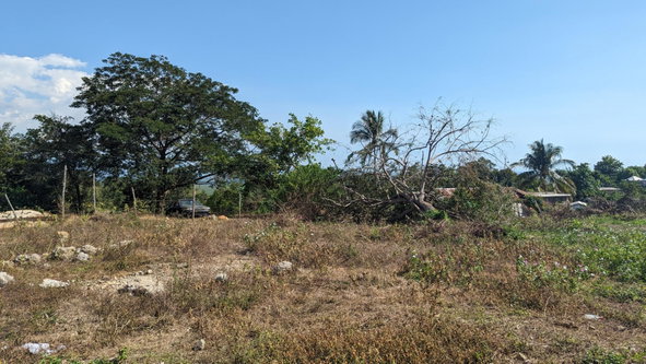 Third image of 36 Whitehall in MIDDLE QUARTERS, St. Elizabeth, Jamaica - property is For Sale