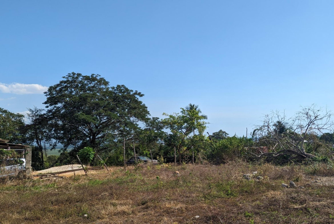 Fourth image of 36 Whitehall in MIDDLE QUARTERS, St. Elizabeth, Jamaica - property is For Sale