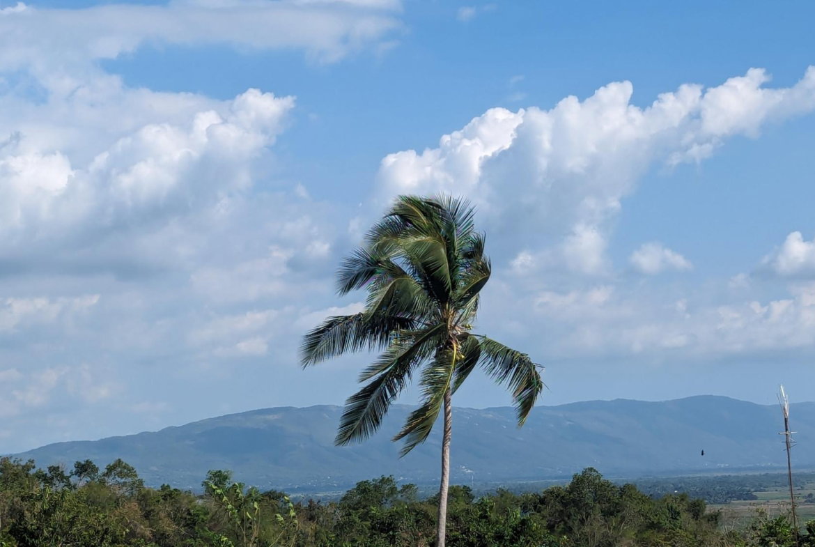 Fifth image of 36 Whitehall in MIDDLE QUARTERS, St. Elizabeth, Jamaica - property is For Sale