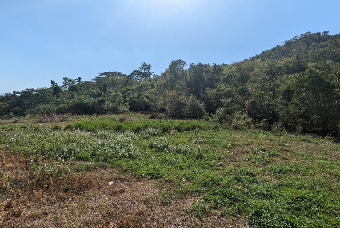 Sixth image of 36 Whitehall in MIDDLE QUARTERS, St. Elizabeth, Jamaica - property is For Sale