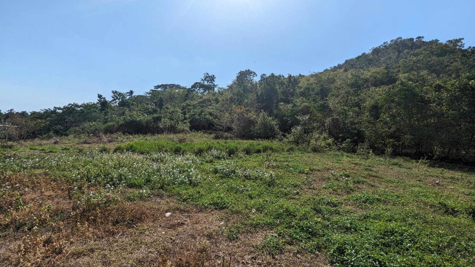 Residential-Lot-for-Sale-in-St.-Elizabeth-Jamaica-36-Whitehall Sixth image of 36 Whitehall in MIDDLE QUARTERS, St. Elizabeth, Jamaica - property is For Sale