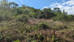First image of 36 Whitehall in MIDDLE QUARTERS, St. Elizabeth, Jamaica - property is For Sale