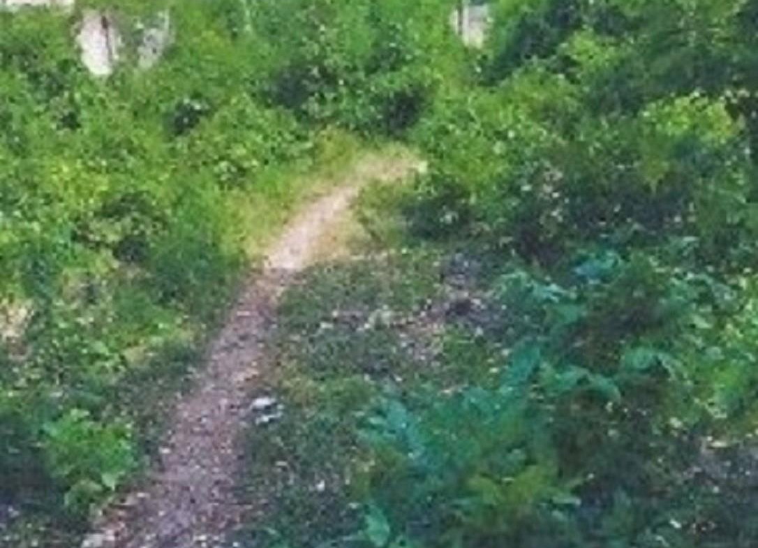 Fourth image of Lot 135 Marrakech Drive, Fermande in Fernandez Gardens, St. Mary, Jamaica - property is For Sale