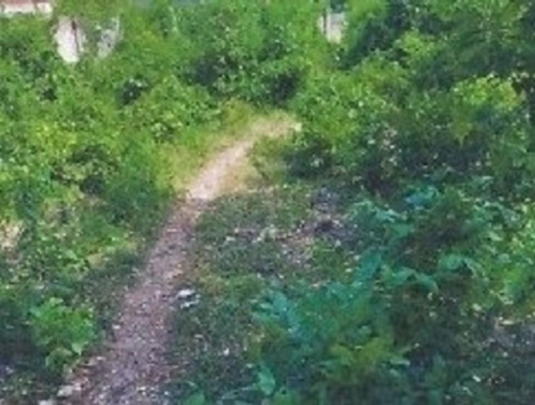 Fourth image of Lot 135 Marrakech Drive, Fermande in Fernandez Gardens, St. Mary, Jamaica - property is For Sale