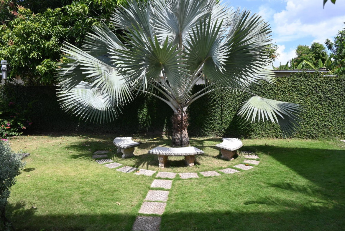 Tenth image of 6-19 Three Views Avenue in Kingston 19, St. Andrew, Jamaica - property is For Rent