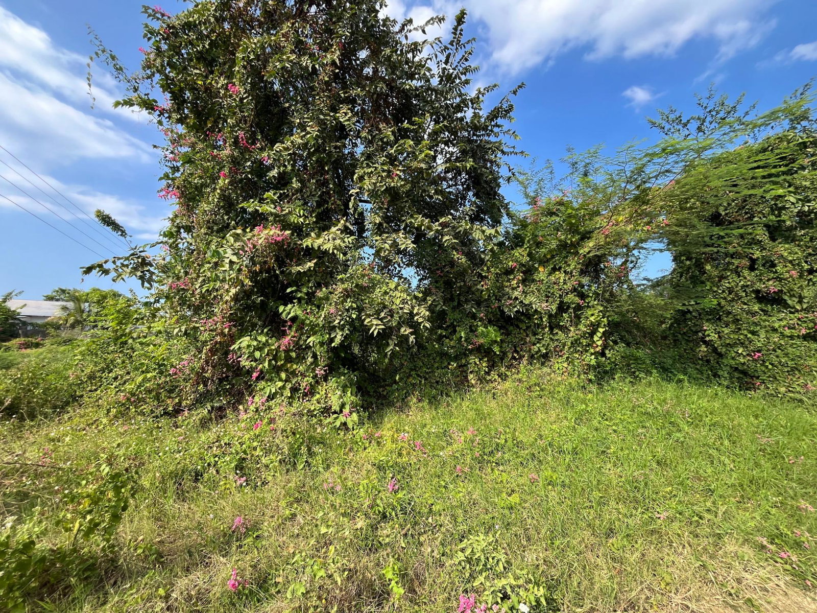 Fourth image of 531 Cardiff Hall in Runaway Bay, St. Ann, Jamaica - property is For Sale