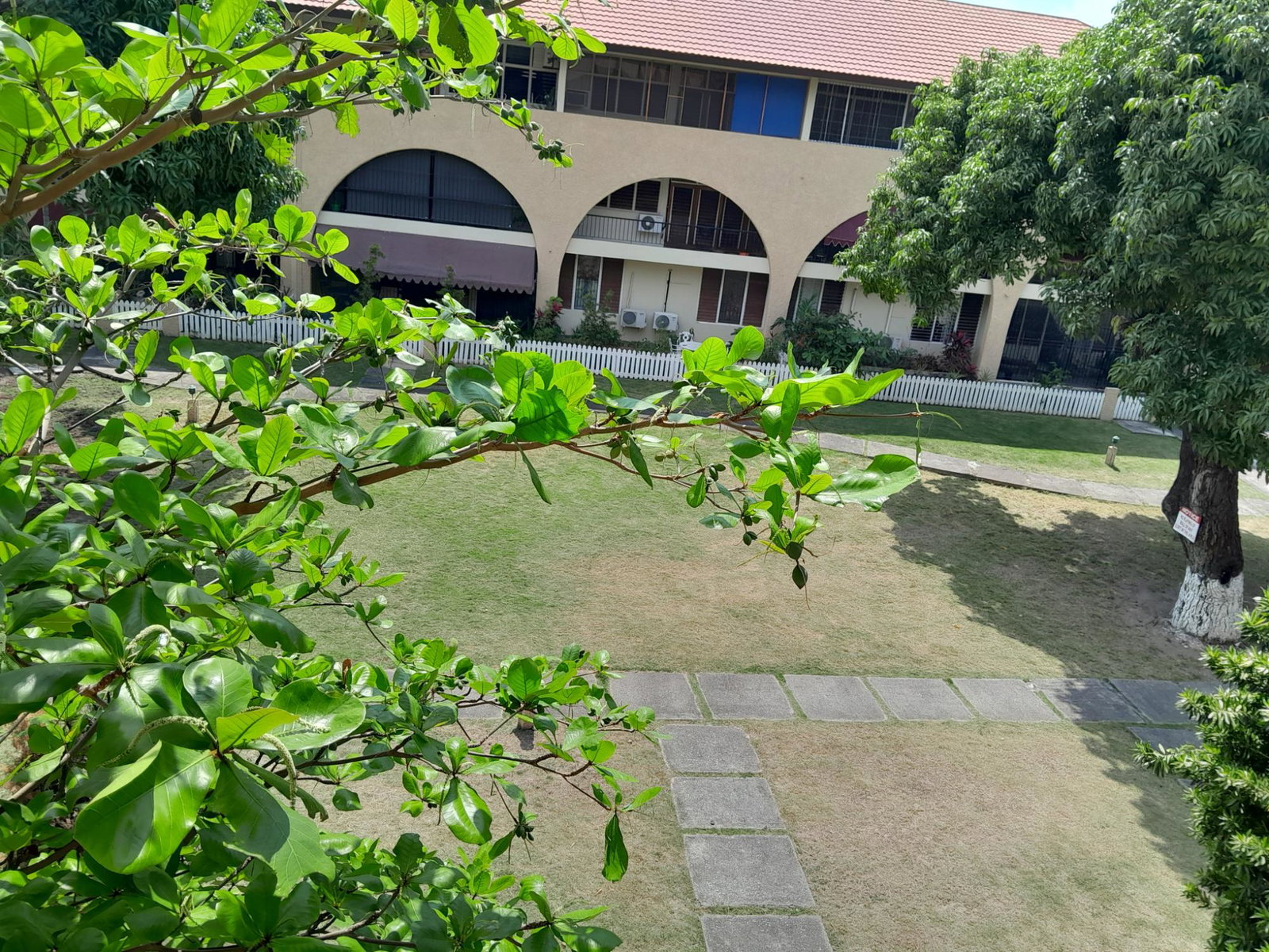 Second image of 51-60 Hope Road, Kingston 6 in Kingston 6, St. Andrew, Jamaica - property is For Rent