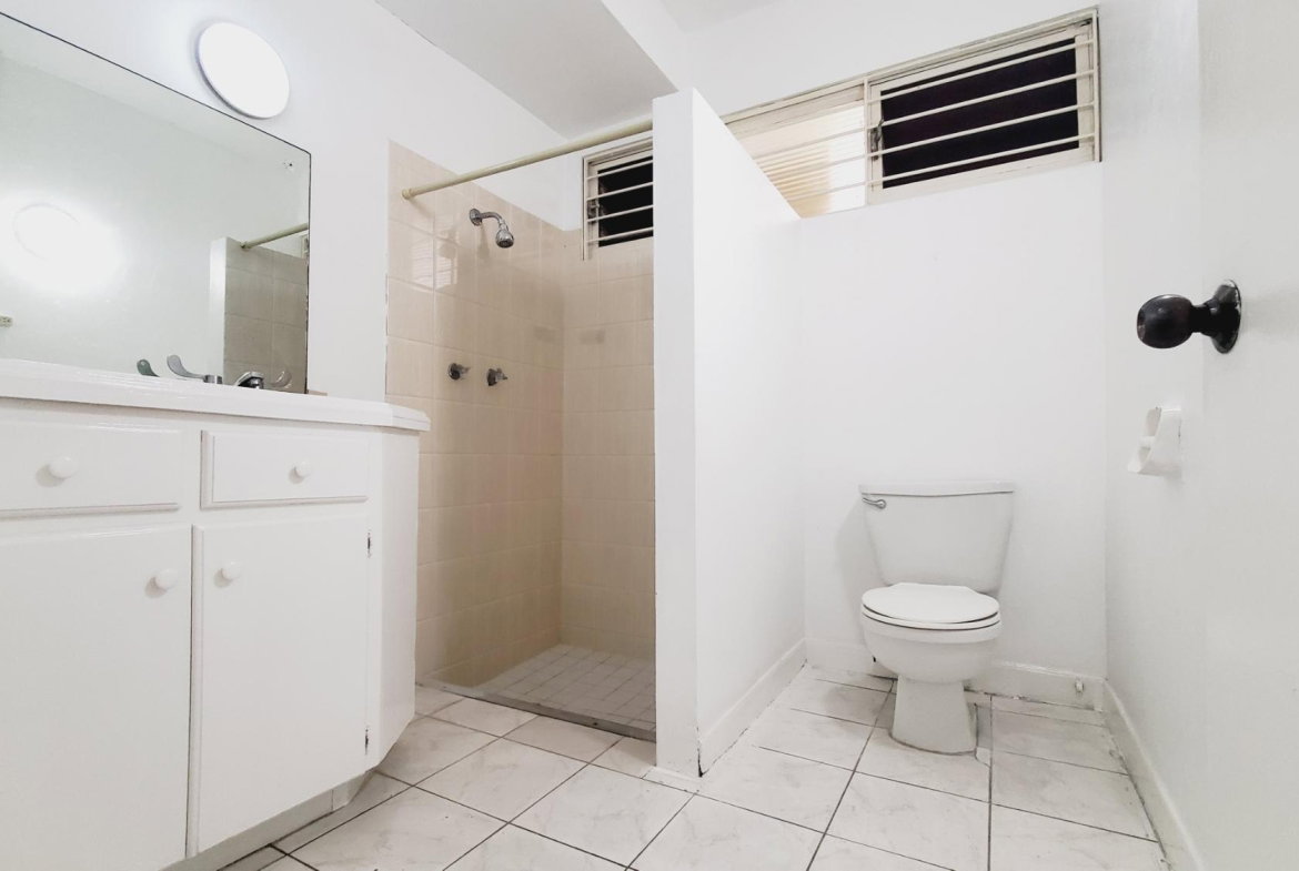 Sixteenth image of 45-60 Hope Road in Kingston 6, St. Andrew, Jamaica - property is For Rent