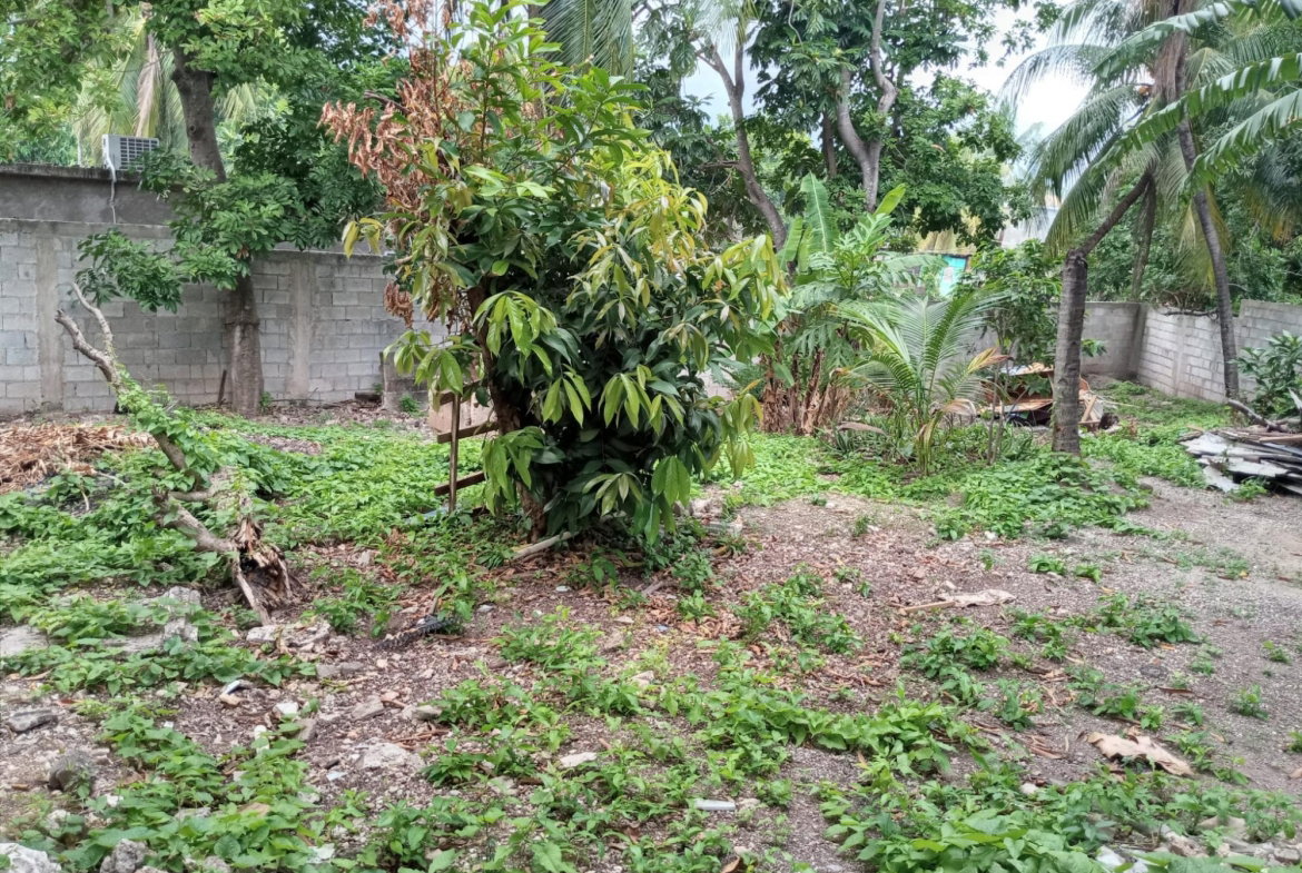 Thirteenth image of A-96 Oleander Close, Marlie a in Old Harbour, St. Catherine, Jamaica - property is For Rent