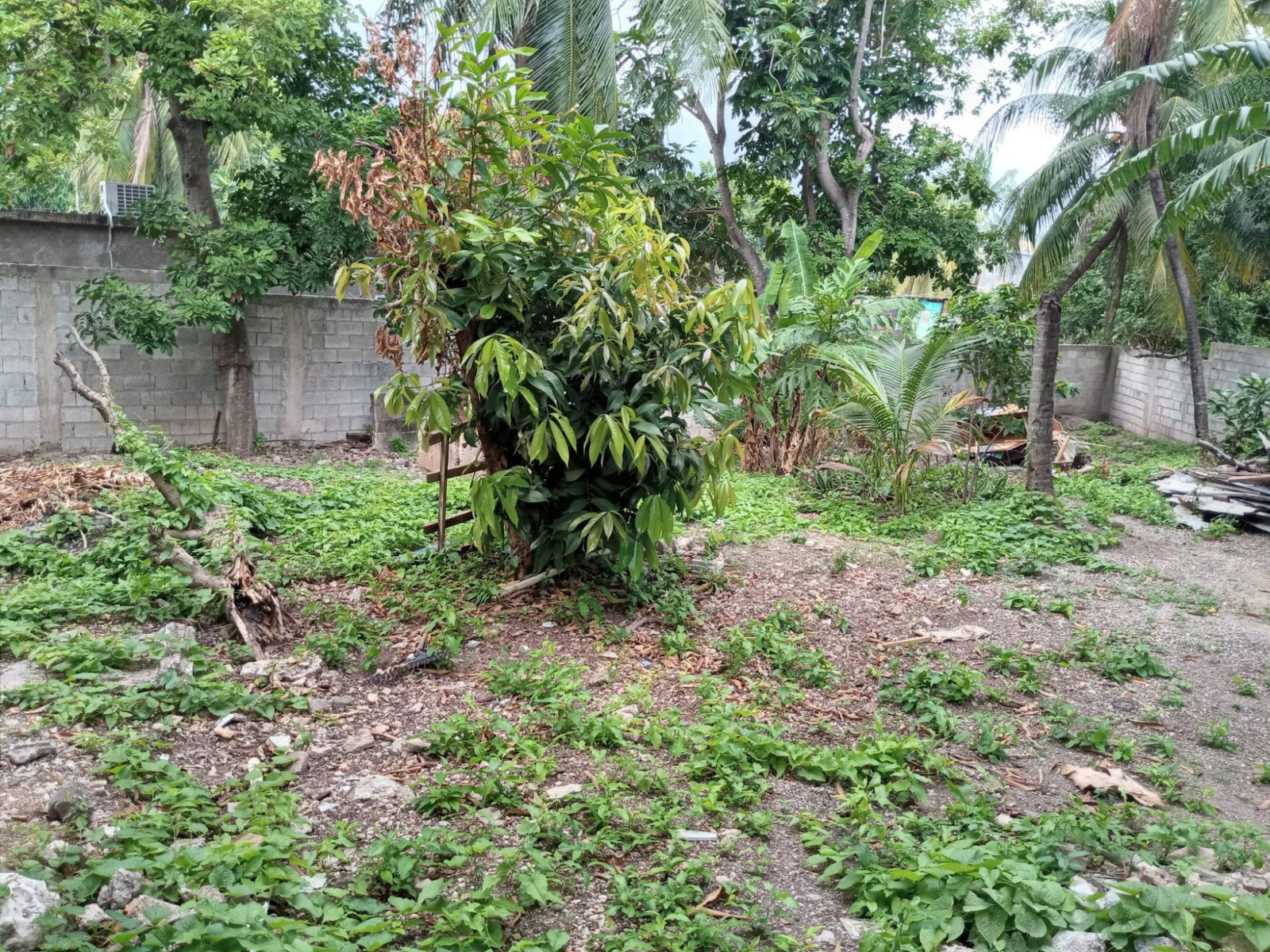 Thirteenth image of A-96 Oleander Close, Marlie a in Old Harbour, St. Catherine, Jamaica - property is For Rent