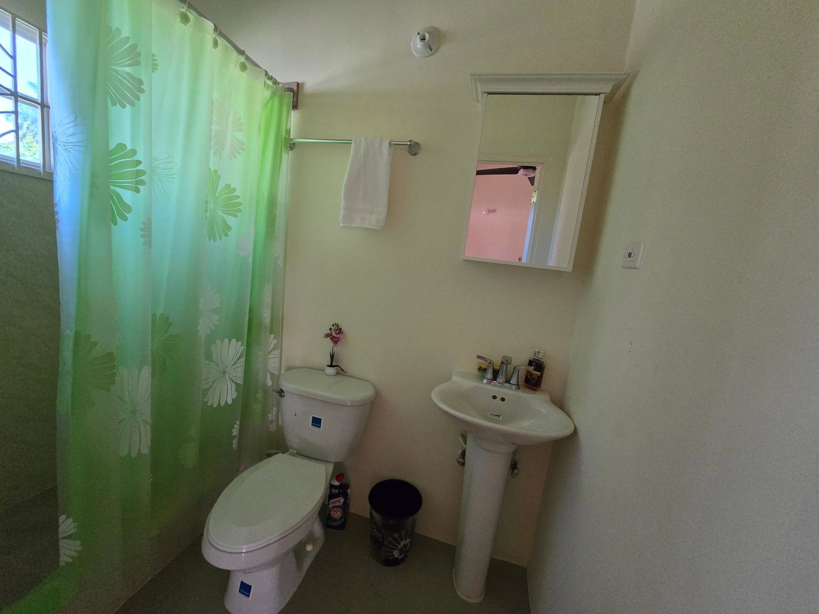 Twenty-First image of Drax Hall Manor in St. Ann's Bay, St. Ann, Jamaica - property is For Rent