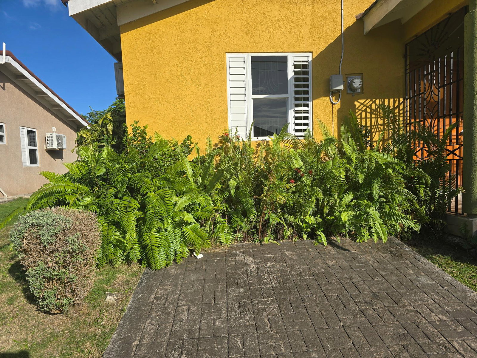 Twenty-Second image of Drax Hall Manor in St. Ann's Bay, St. Ann, Jamaica - property is For Rent