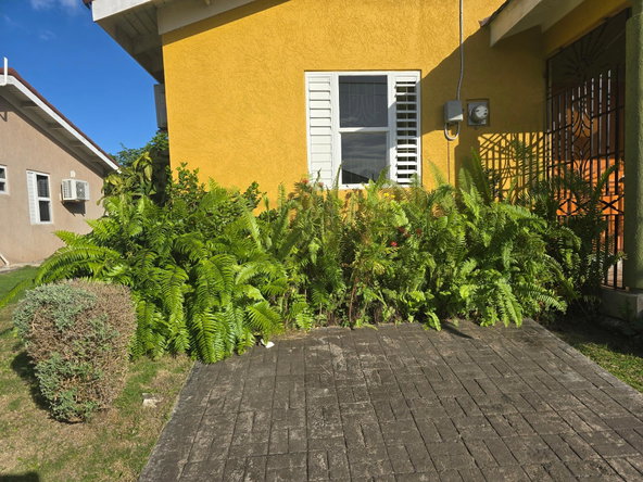 Twenty-Second image of Drax Hall Manor in St. Ann's Bay, St. Ann, Jamaica - property is For Rent