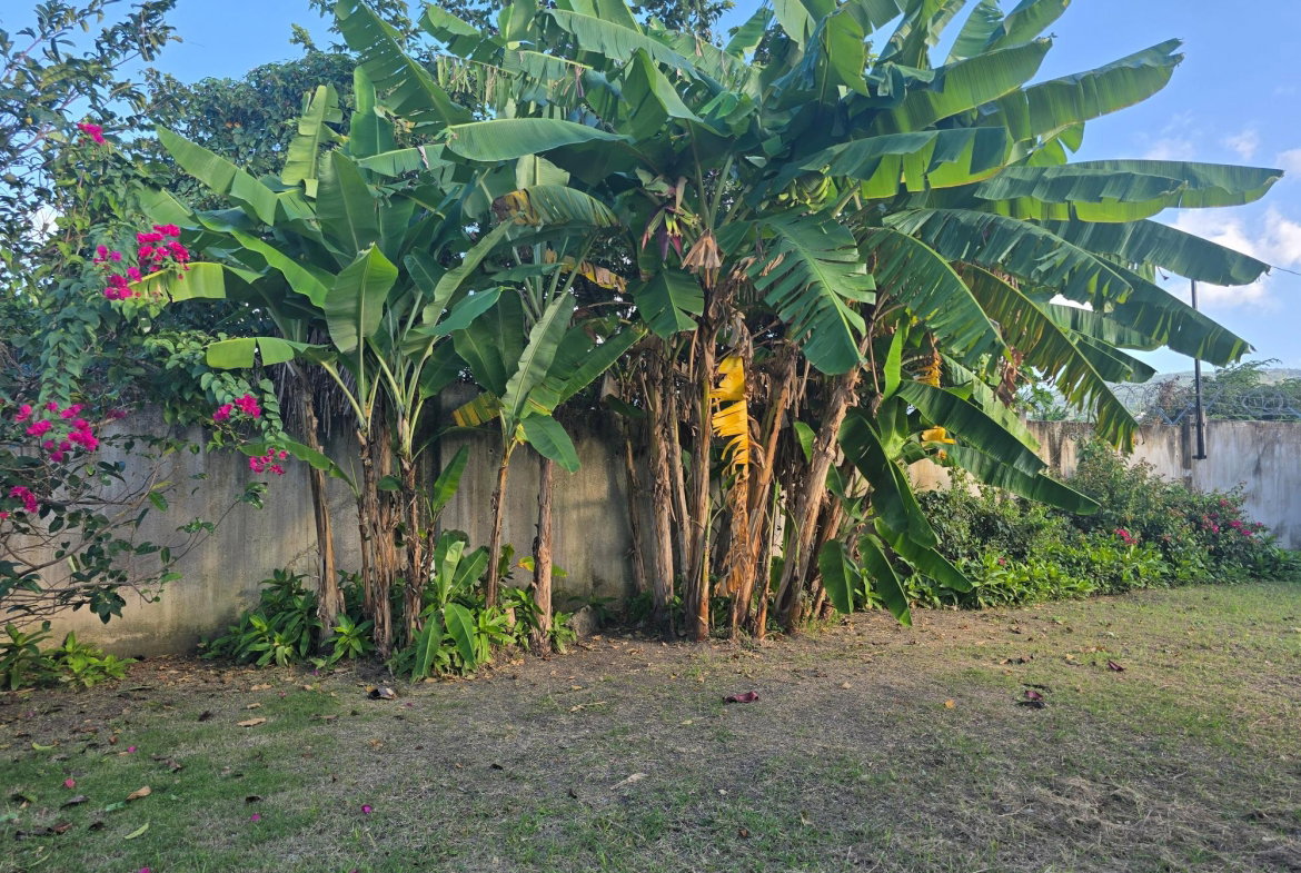 Twenty-Seventh image of Drax Hall Manor in St. Ann's Bay, St. Ann, Jamaica - property is For Rent