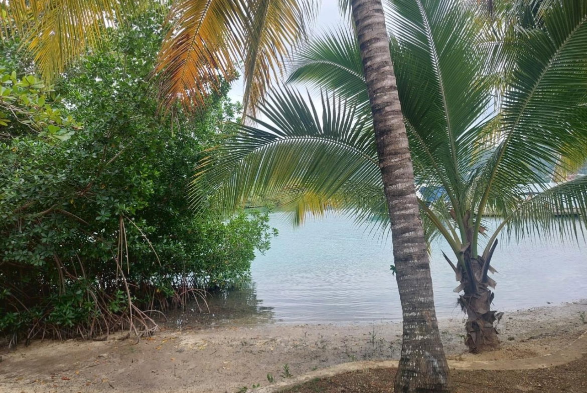Ninth image of 4b Marine Point, Lagoons in Montego Bay, St. James, Jamaica - property is For Rent