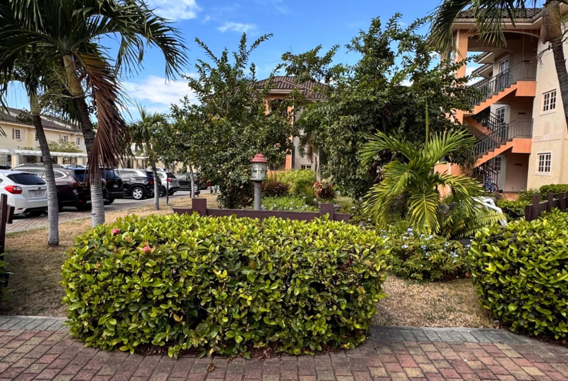 First image of 25-1 Marley Road in Kingston 6, St. Andrew, Jamaica - property is For Rent