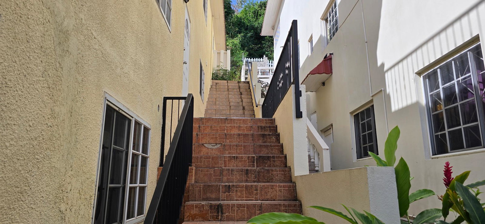 Third image of 135 Pine Boulevard in Kingston 6, St. Andrew, Jamaica - property is For Rent