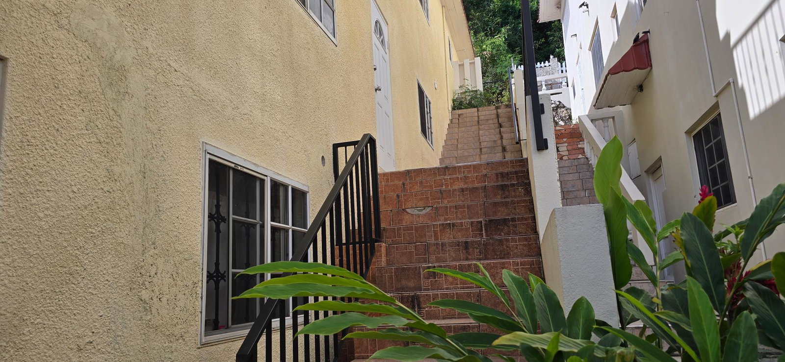 Fourth image of 135 Pine Boulevard in Kingston 6, St. Andrew, Jamaica - property is For Rent