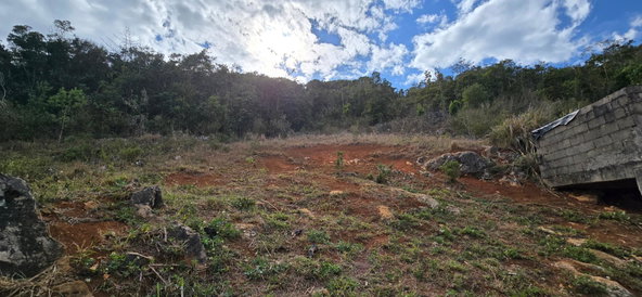 Twenty-Second image of Retreat in Mandeville, Manchester, Jamaica - property is For Sale