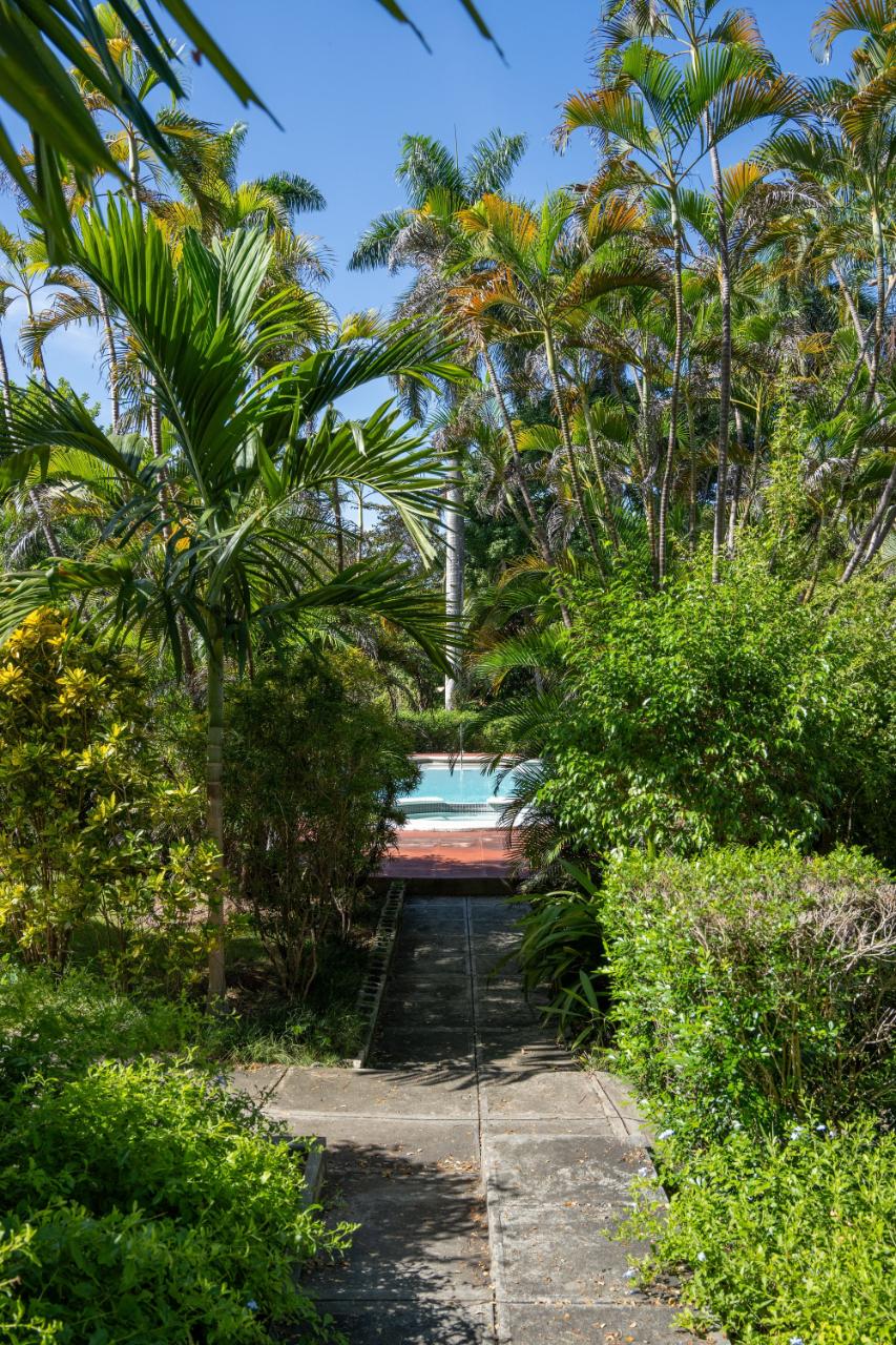 Twenty-Ninth image of 2-39 Leader Avenue in Montego Bay, St. James, Jamaica - property is For Rent