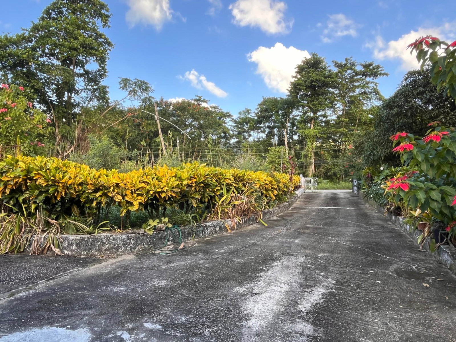 Fourteenth image of Hazelymph Estate, Cambrid in Cambridge, St. James, Jamaica - property is For Sale