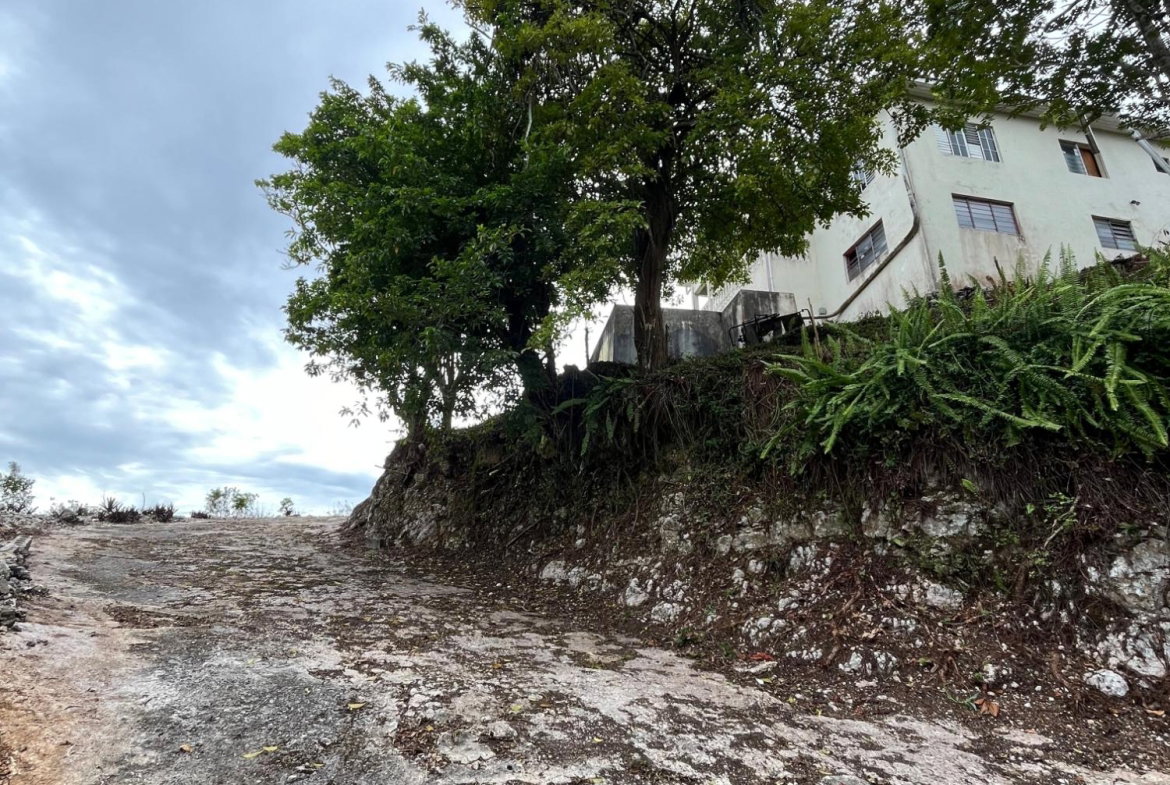 Fifteenth image of 4 4 Woodleigh Decarteret ro in Mandeville, Manchester, Jamaica - property is For Sale