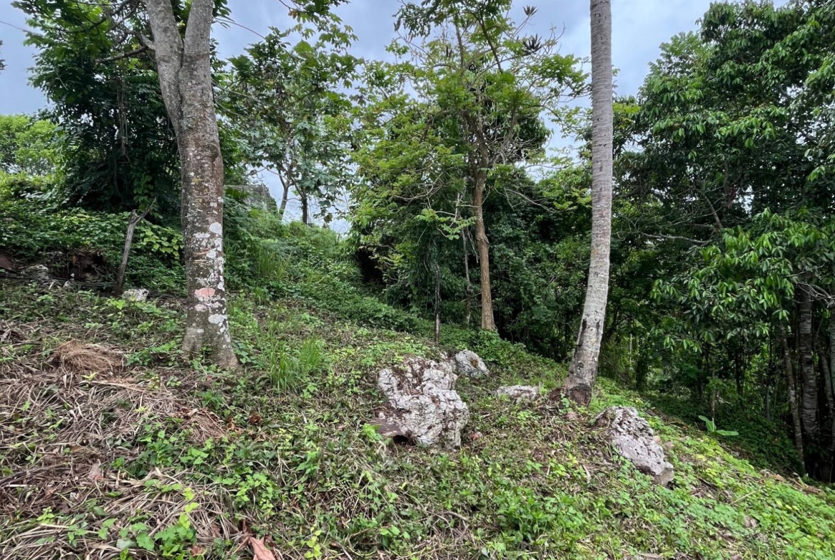 Seventeenth image of 4 4 Woodleigh Decarteret ro in Mandeville, Manchester, Jamaica - property is For Sale