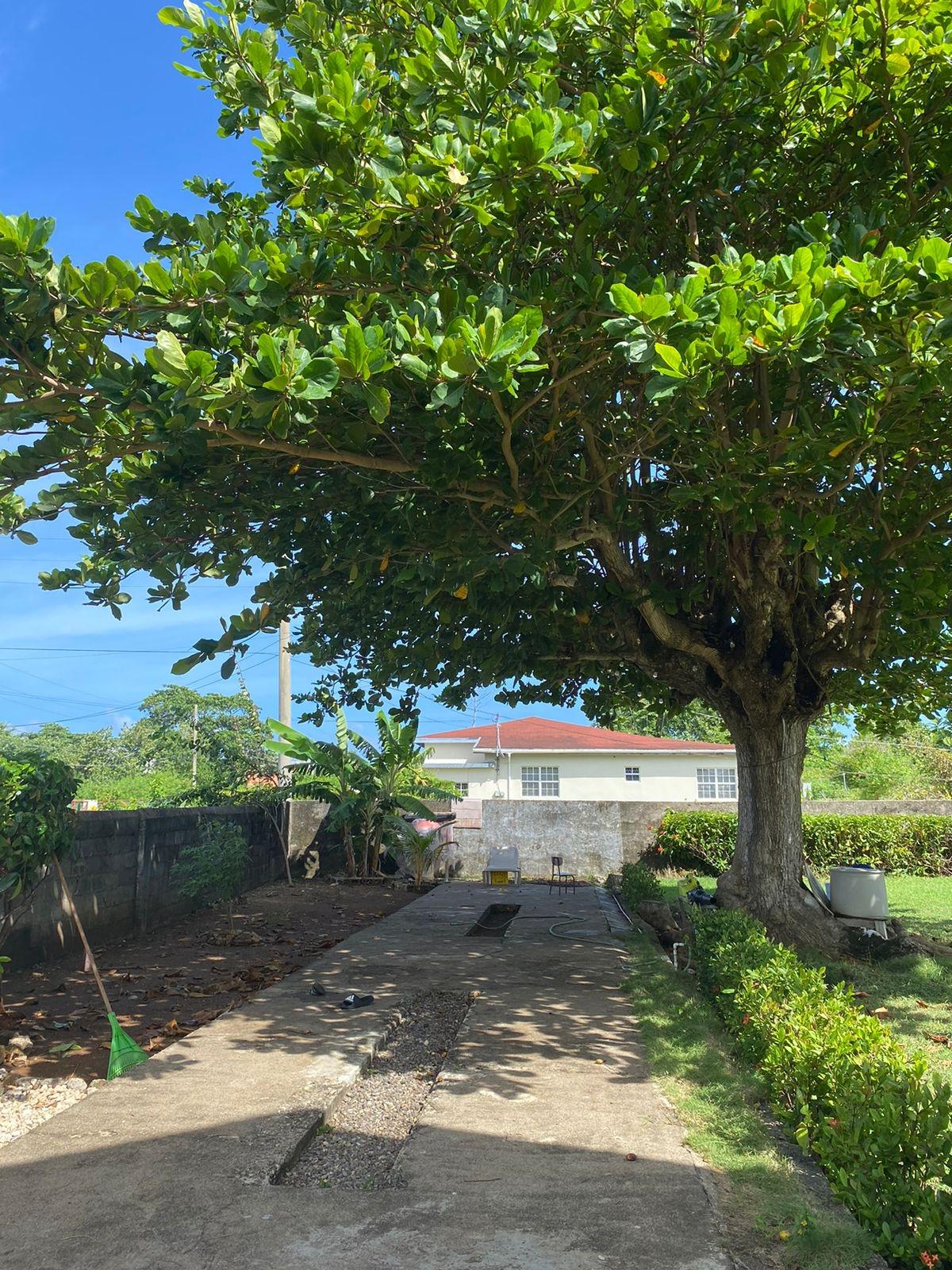 Thirtieth image of 55- Goffe Avenue in Galina, St. Mary, Jamaica - property is For Sale