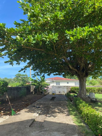 Thirtieth image of 55- Goffe Avenue in Galina, St. Mary, Jamaica - property is For Sale