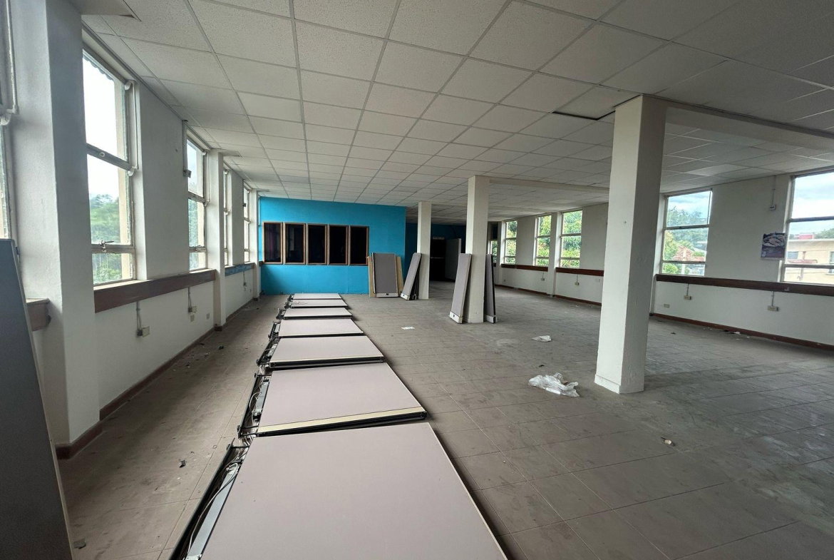 Fourth image of 16-10 South Avenue in Kingston 4, Kingston, Jamaica - property is For Rent