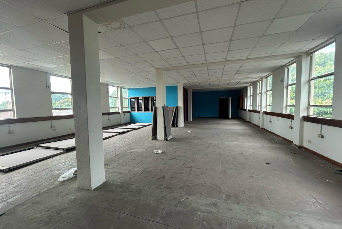 Fifth image of 16-10 South Avenue in Kingston 4, Kingston, Jamaica - property is For Rent