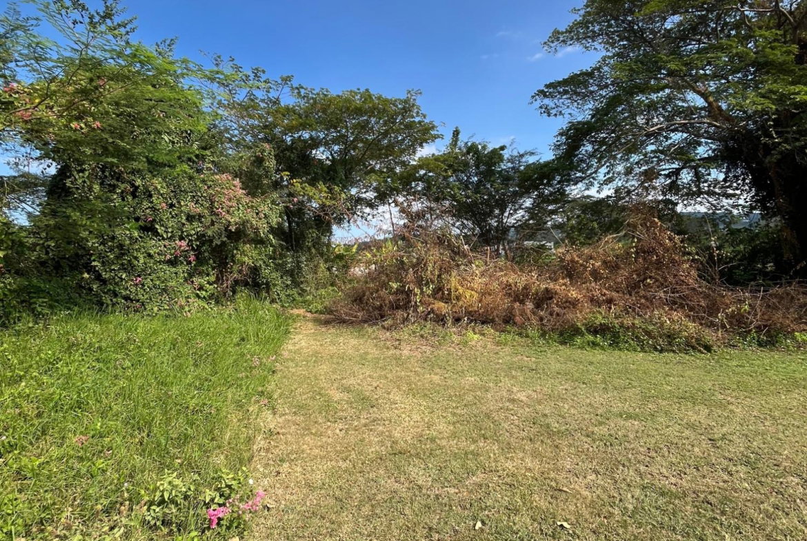 Fourth image of 529 Cardiff Hall in Runaway Bay, St. Ann, Jamaica - property is For Sale