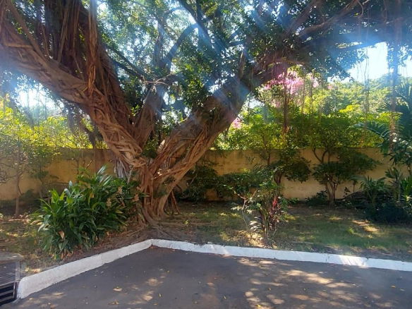 First image of 1-7 Hopefield Ave. in Kingston 6, St. Andrew, Jamaica - property is For Sale