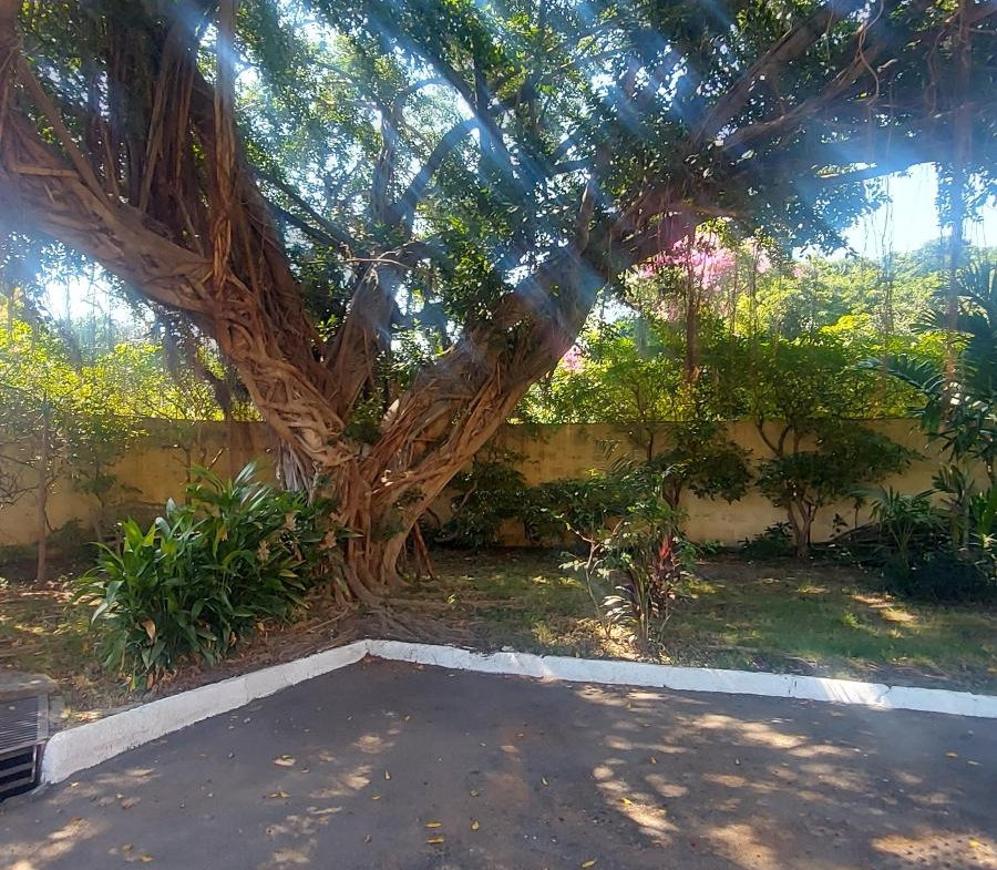 First image of 1-7 Hopefield Ave. in Kingston 6, St. Andrew, Jamaica - property is For Sale
