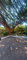 First image of 1-7 Hopefield Ave. in Kingston 6, St. Andrew, Jamaica - property is For Sale