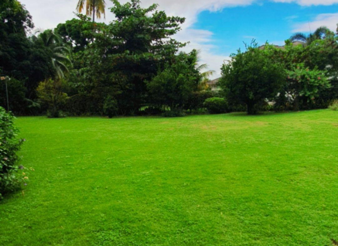 Third image of 7a Farringdon Drive in Kingston 6, St. Andrew, Jamaica - property is For Sale