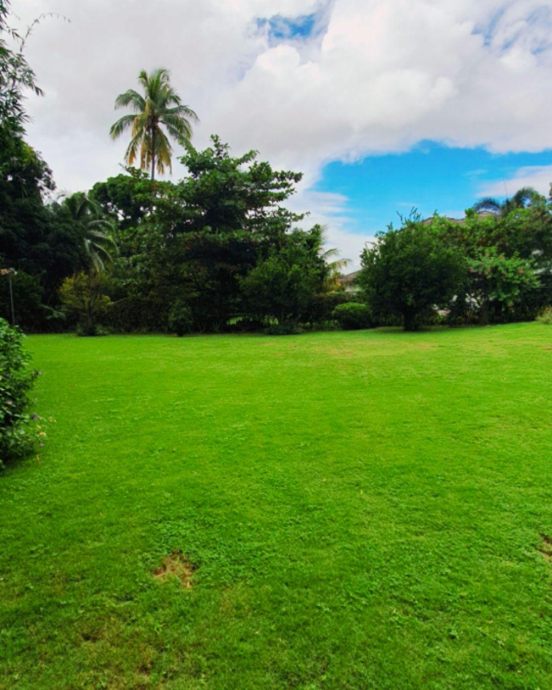 Third image of 7a Farringdon Drive in Kingston 6, St. Andrew, Jamaica - property is For Sale