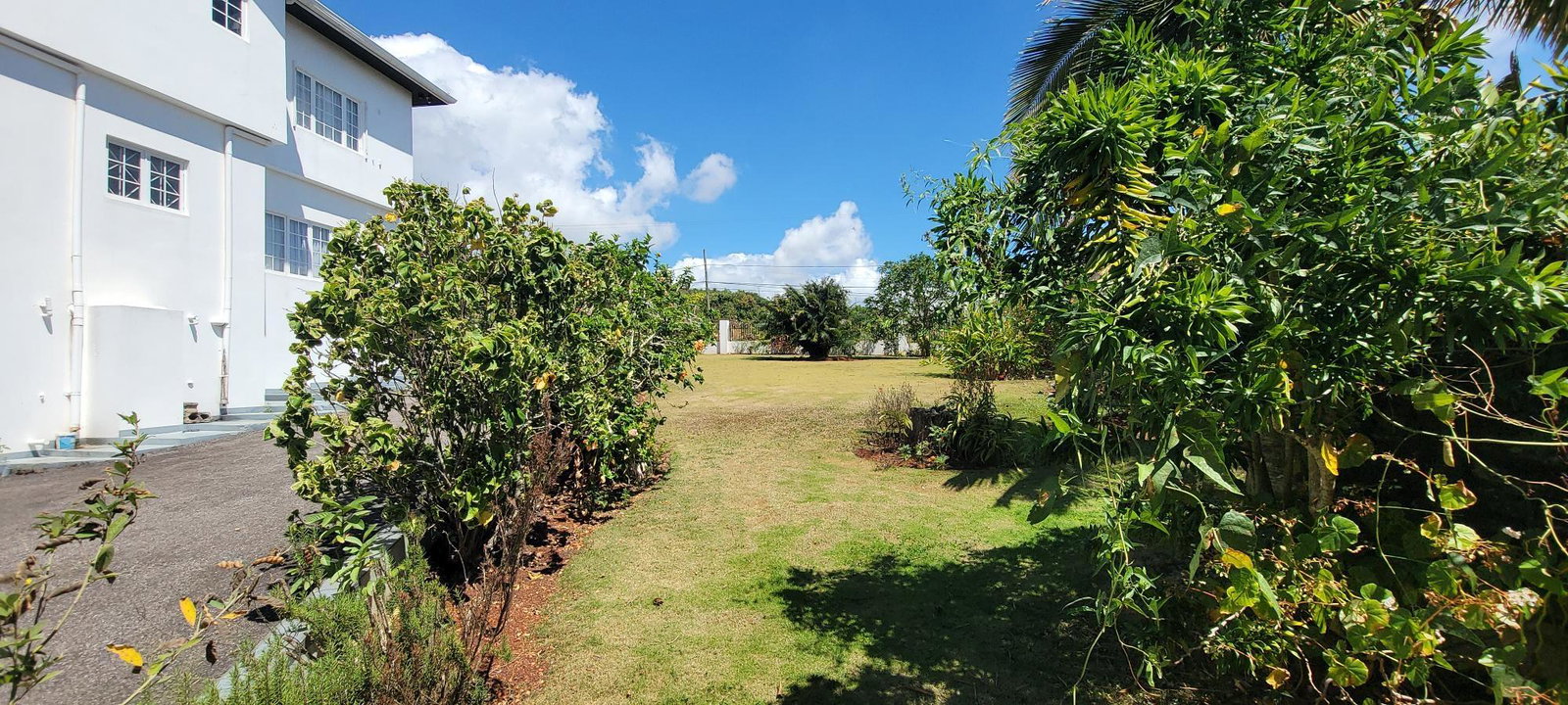 Twenty-First image of Bellevue Malvern to Southfield Roa in Southfield, St. Elizabeth, Jamaica - property is For Sale