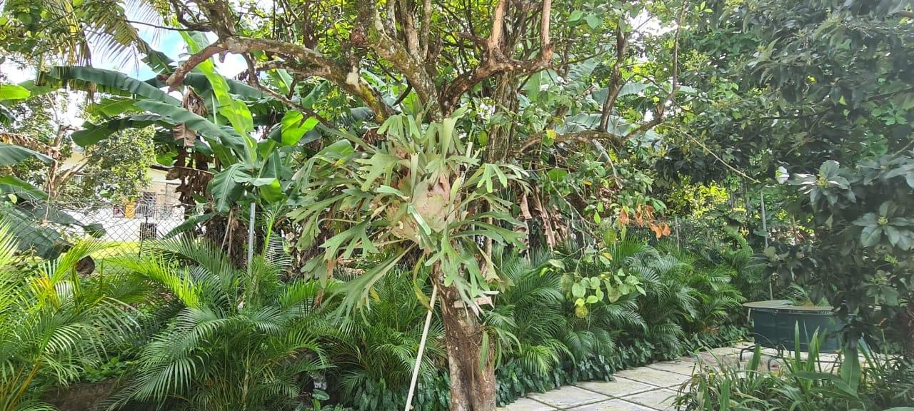 Twenty-Eighth image of 49 Bogue Heights Blvd, Bogue in Montego Bay, St. James, Jamaica - property is For Rent
