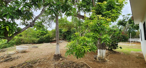 Twenty-Sixth image of 8 Davis Ave in Montego Bay, St. James, Jamaica - property is For Sale