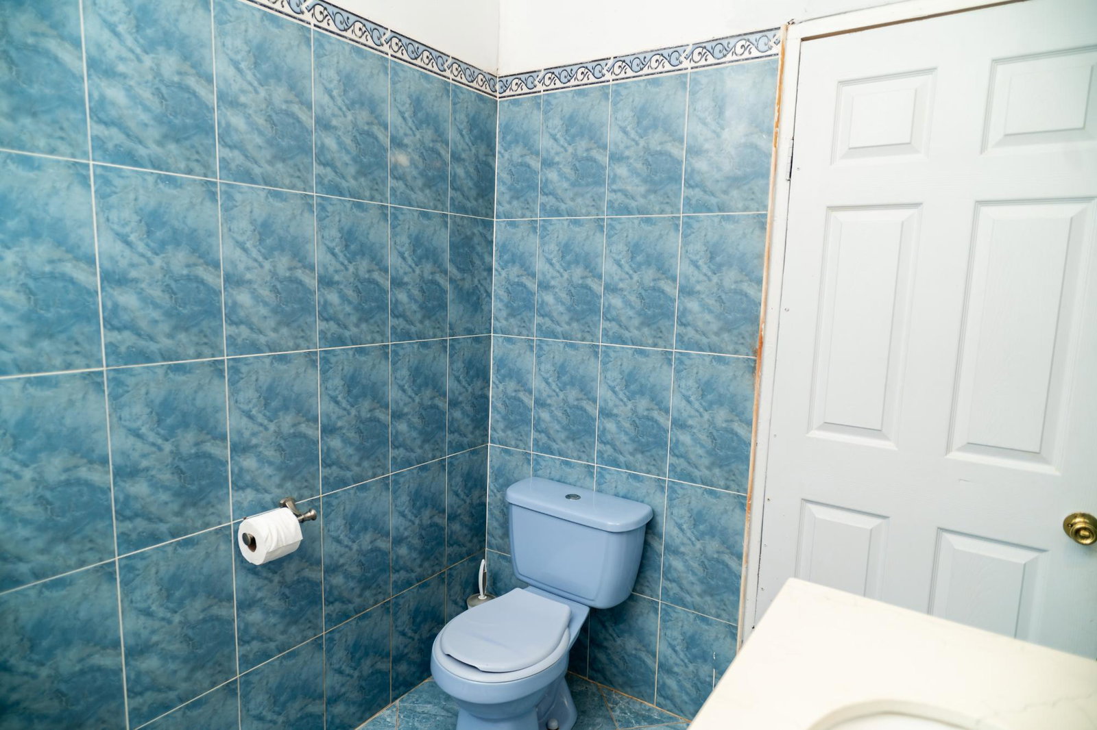 Twenty-Second image of 1191 Chrysanthemum, Longsville in Longville Park, Clarendon, Jamaica - property is For Sale