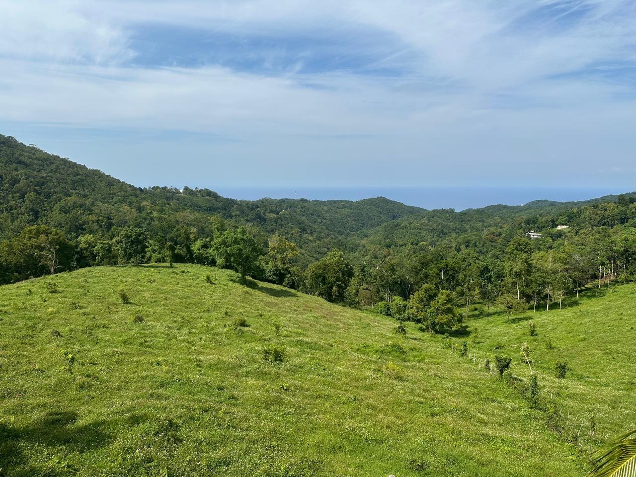 Twenty-Third image of Mathews Hall, Sturge Town in Sturge Town, St. Ann, Jamaica - property is For Sale