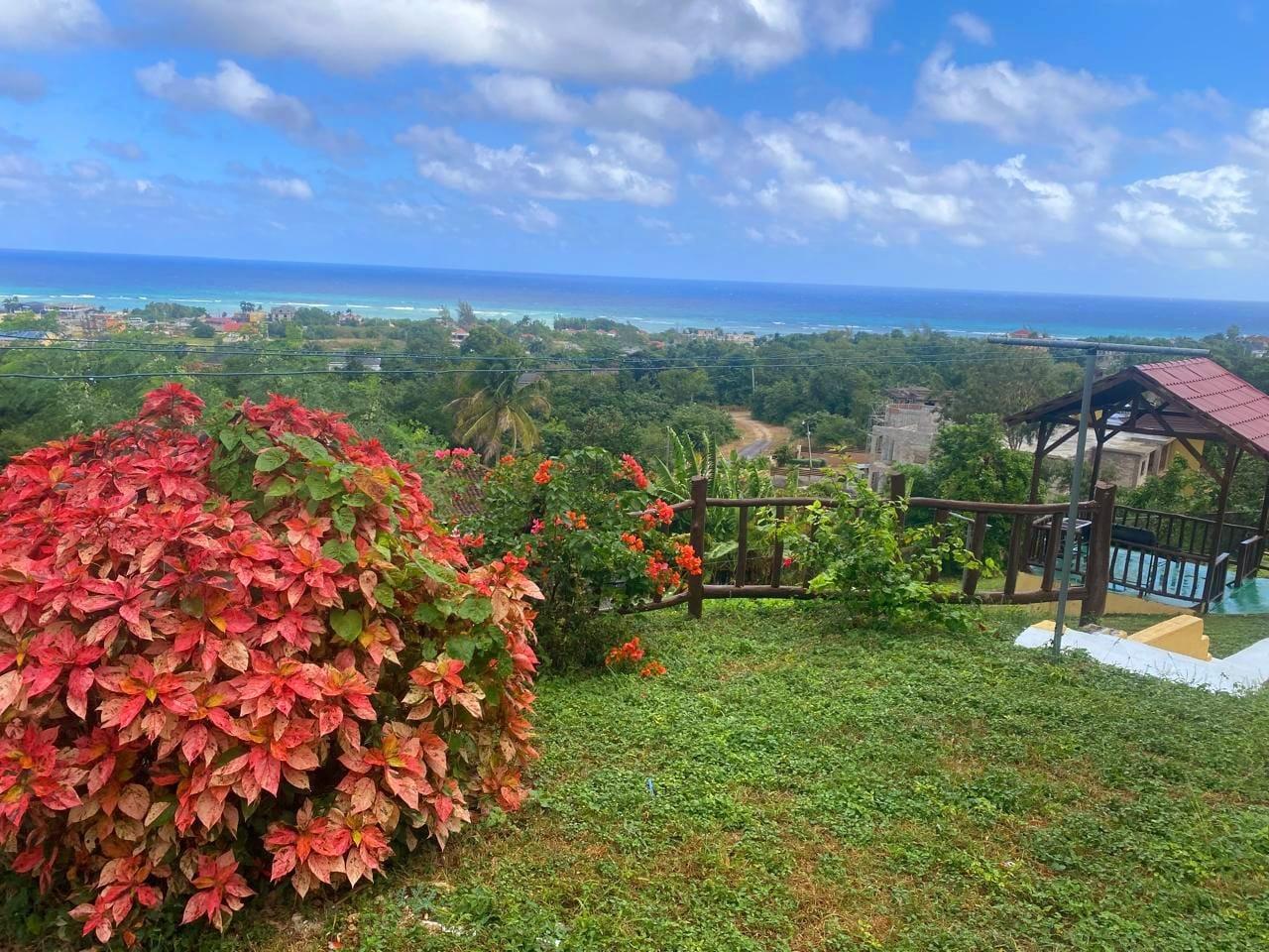 Fourteenth image of 1-257 Poinciana Drive in Montego Bay, St. James, Jamaica - property is For Rent