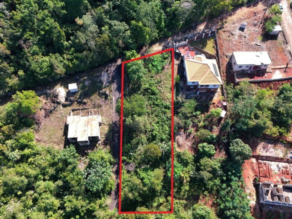 First image of Eglington in Spur Tree, Manchester, Jamaica - property is For Sale